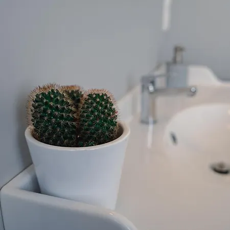 Πανσιόν Les 3 Berets D'hotes 3*