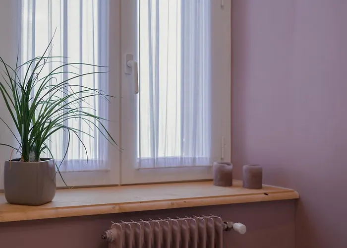 Les 3 Berets D'hotes Oloron-Sainte-Marie