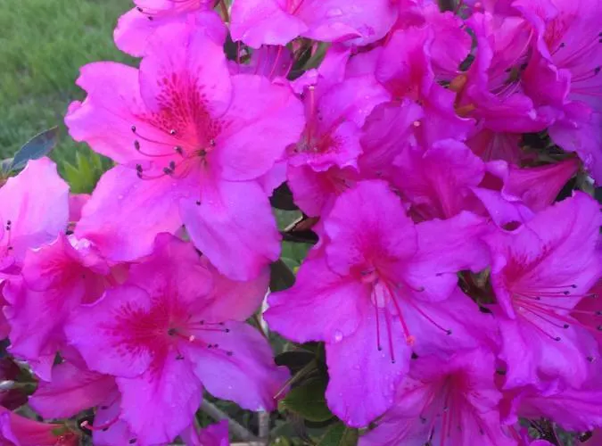 Gæstehus Les 3 Berets D'hotes